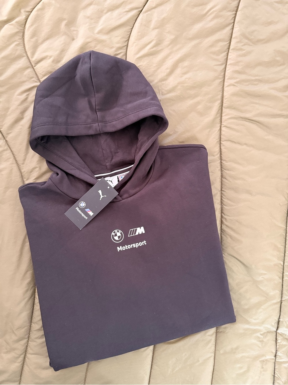 Puma x BMW M Series Motorsport Hoodie in Black